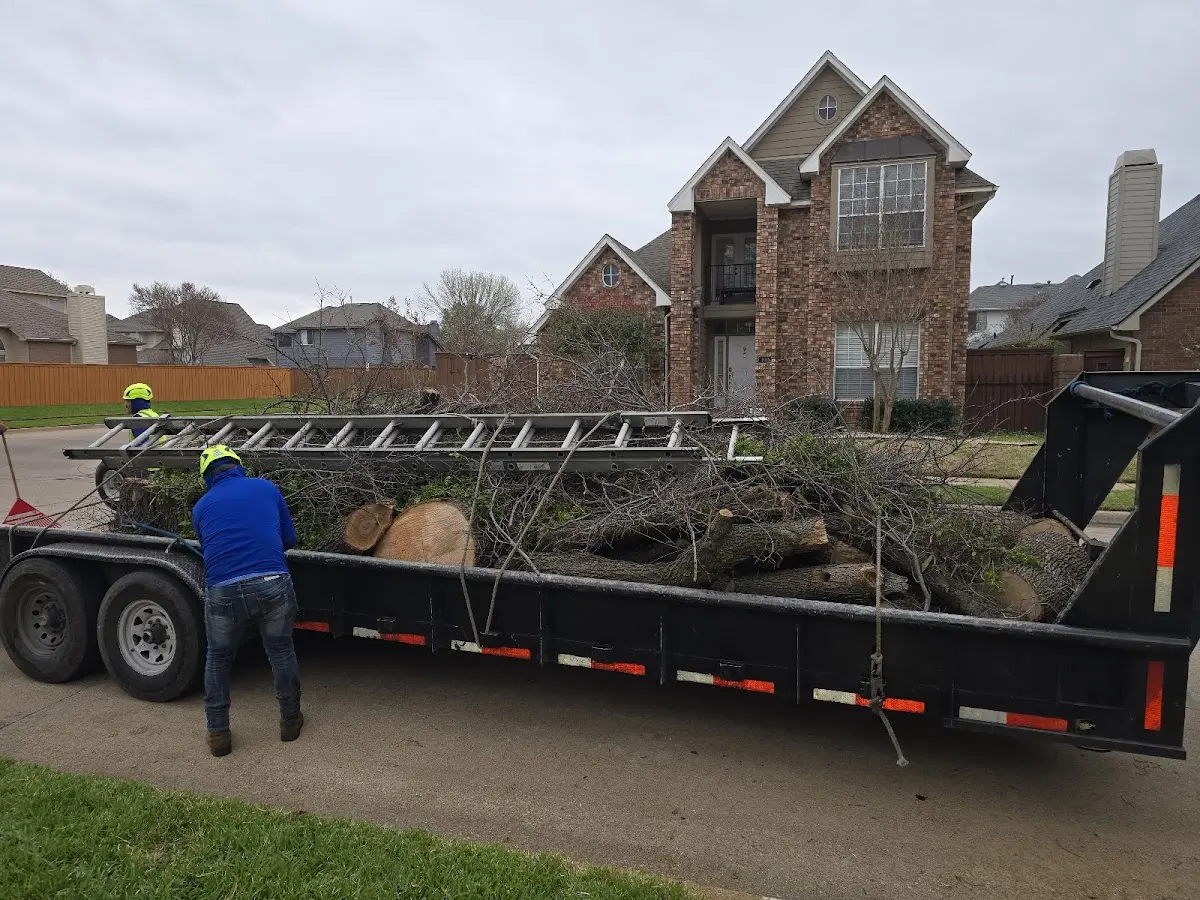 Expert Tree Removal with proper safety equipment in Ortonville